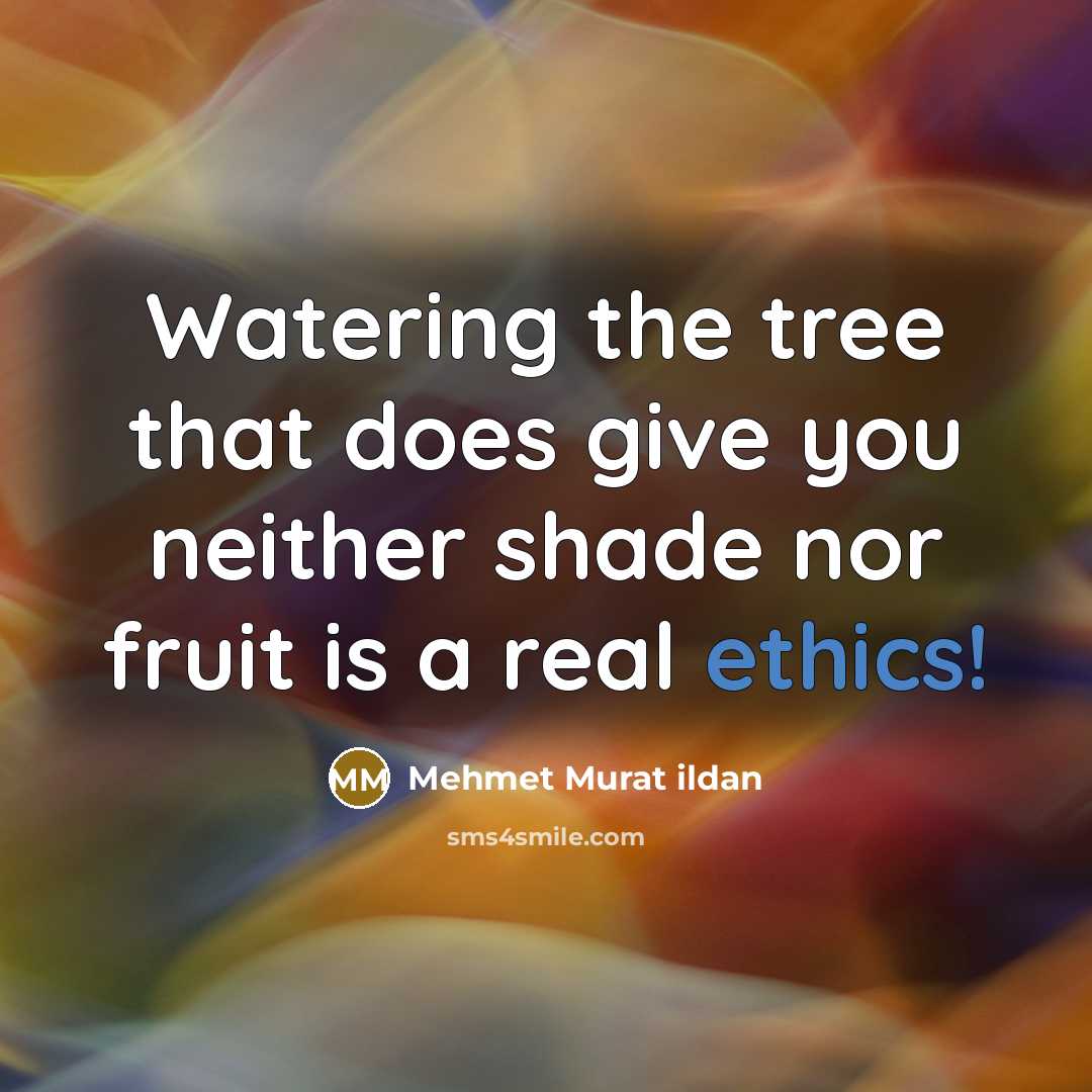 “Watering the tree that does give you neither shade nor…” quote by Mehmet Murat Ildan