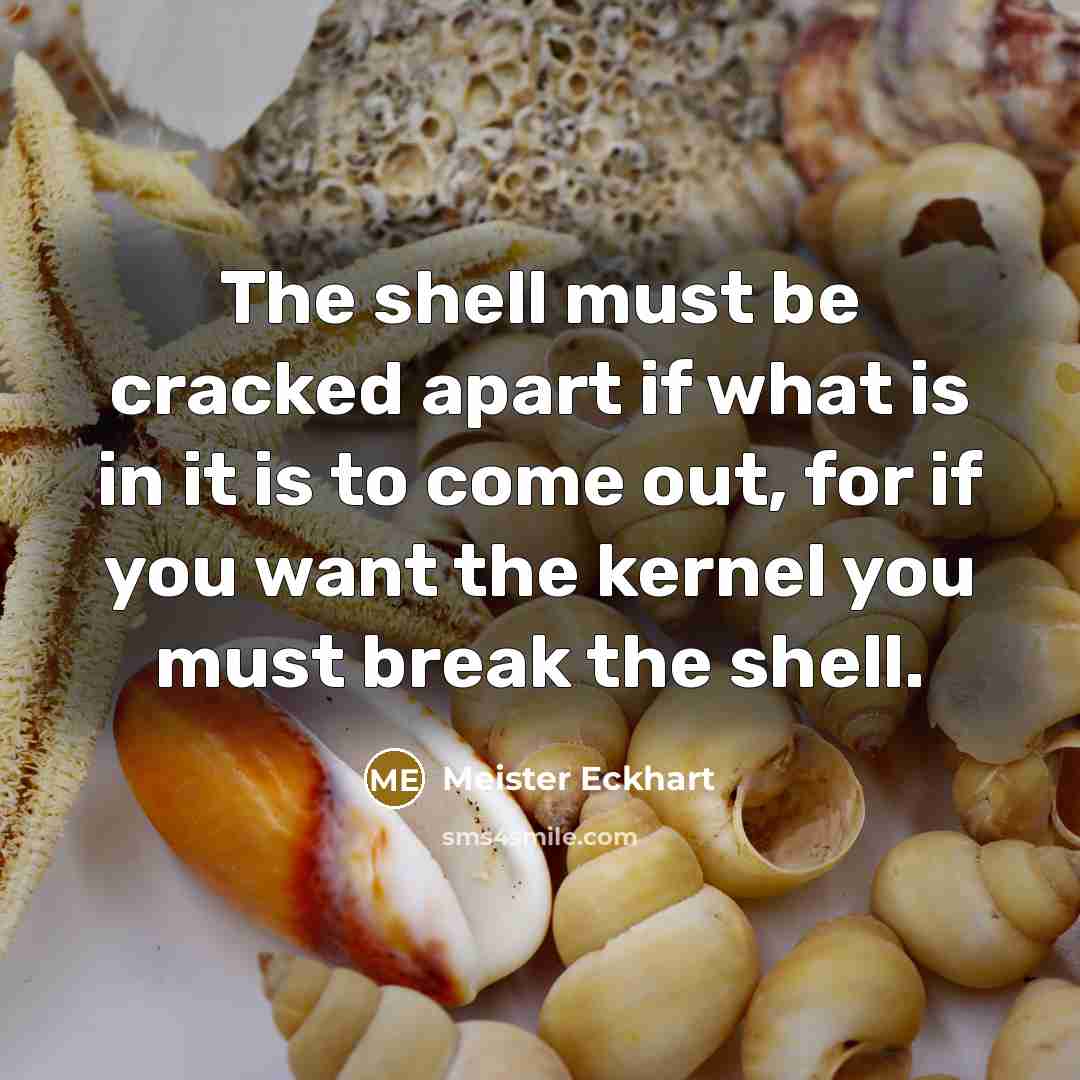 “The shell must be cracked apart if what is in…” quote by Meister Eckhart