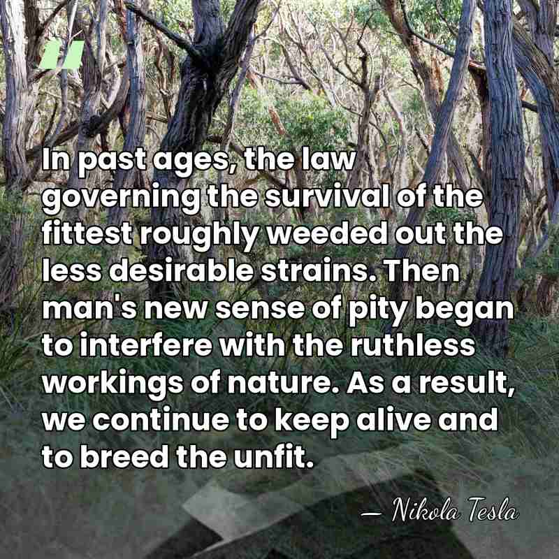 In past ages, the law governing the survival of the fittest roughly&hellip; - Nikola Tesla