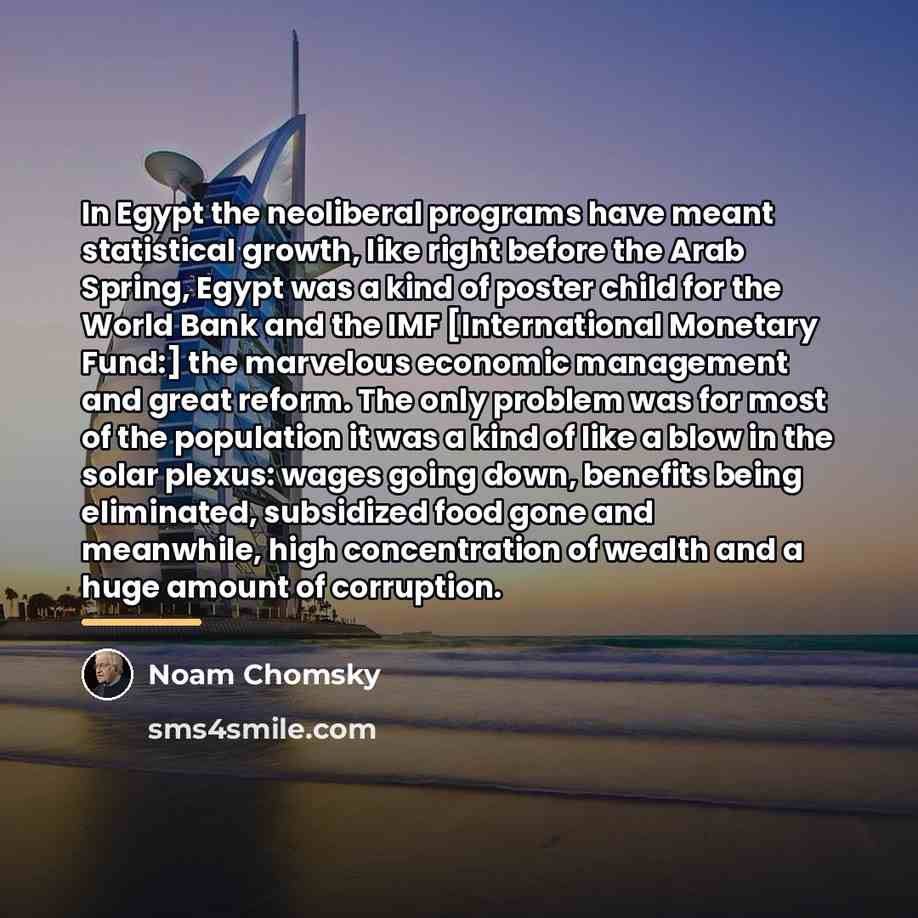 “In Egypt the neoliberal programs have meant statistical growth, like…” quote by Noam Chomsky