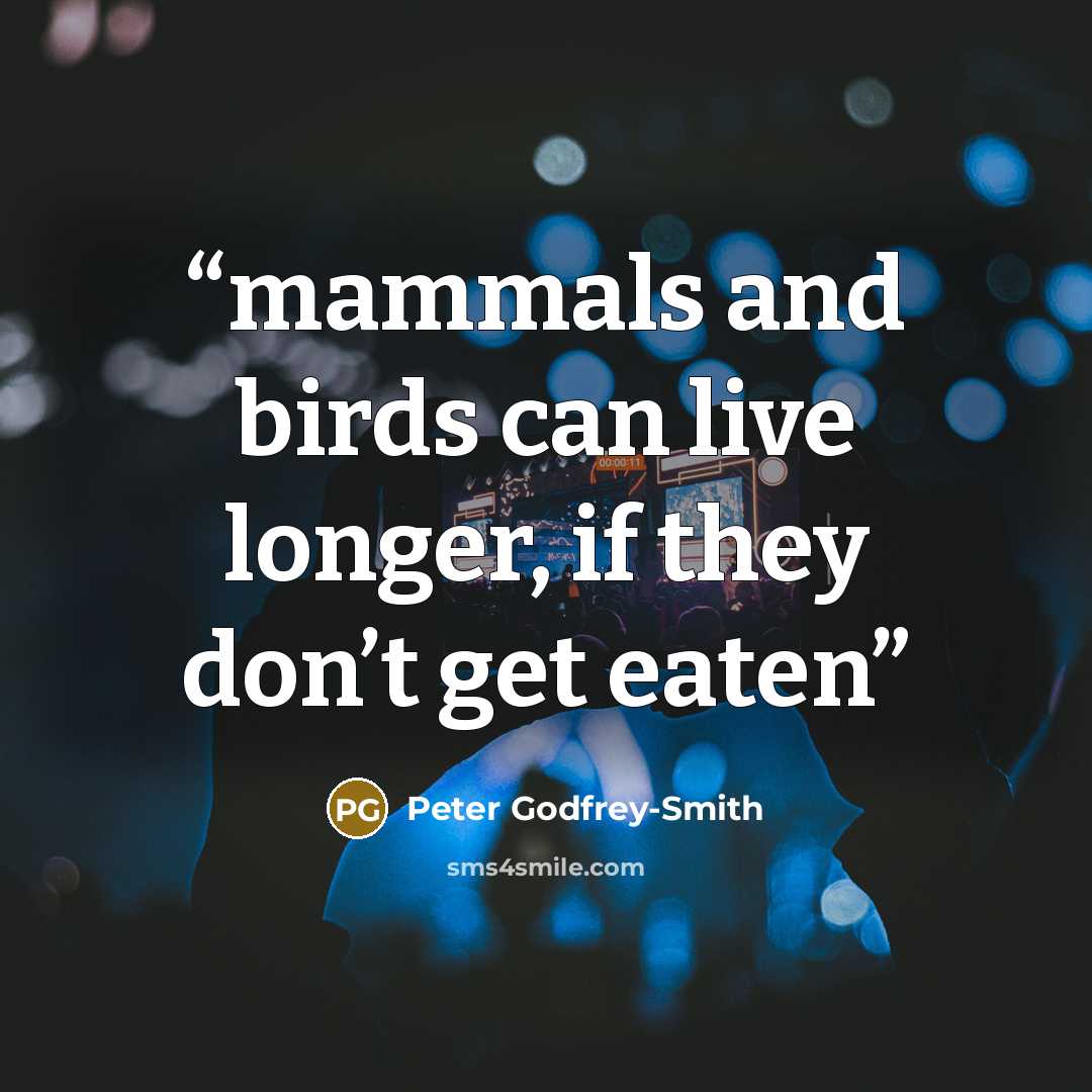“mammals and birds can live longer, if they don’t get eaten” quote by Peter Godfrey-Smith