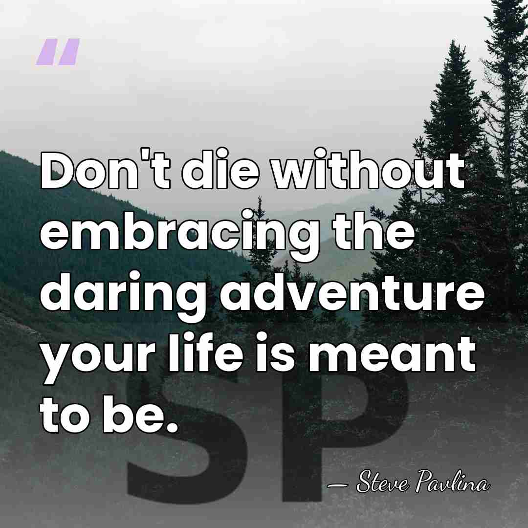 Don't die without embracing the daring adventure your life is meant to&hellip; - Steve Pavlina