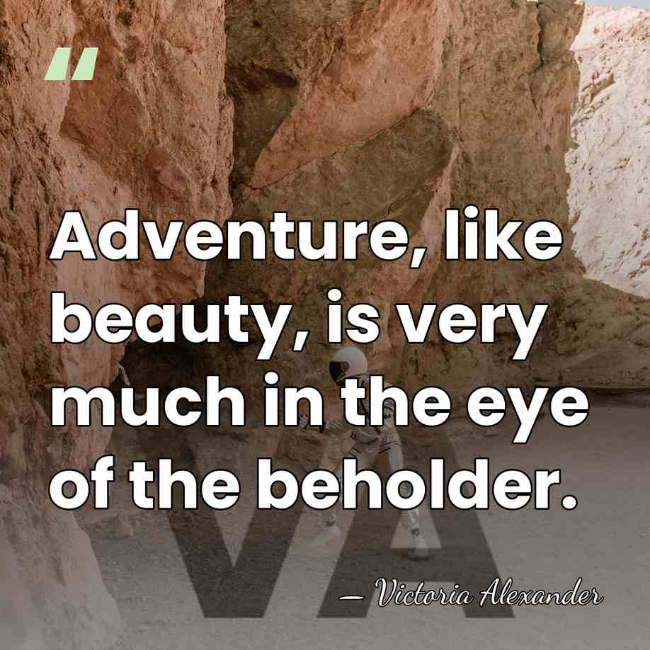 Adventure, like beauty, is very much in the eye of the beholder. - Victoria Alexander