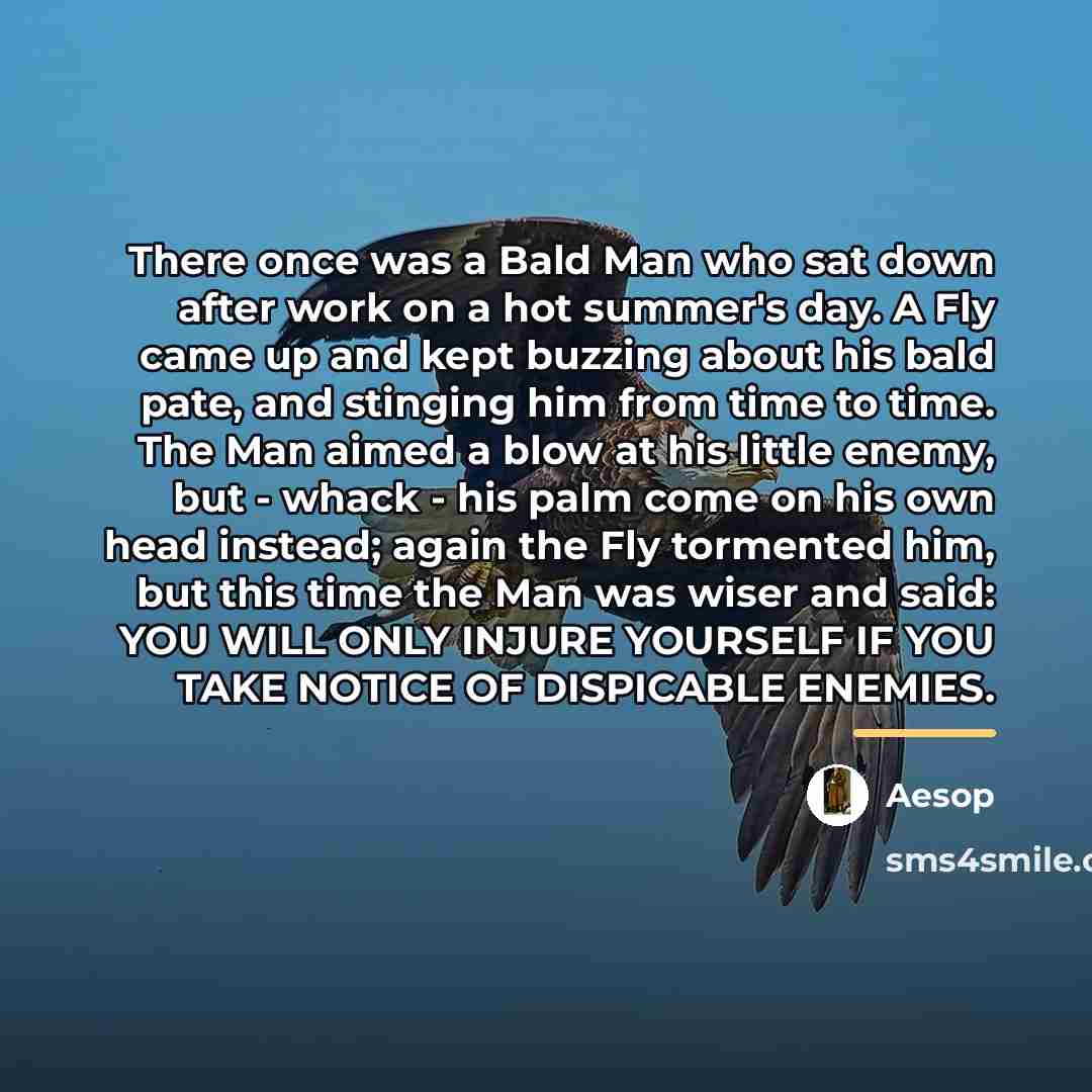 “There once was a Bald Man who sat down after…” quote by Aesop