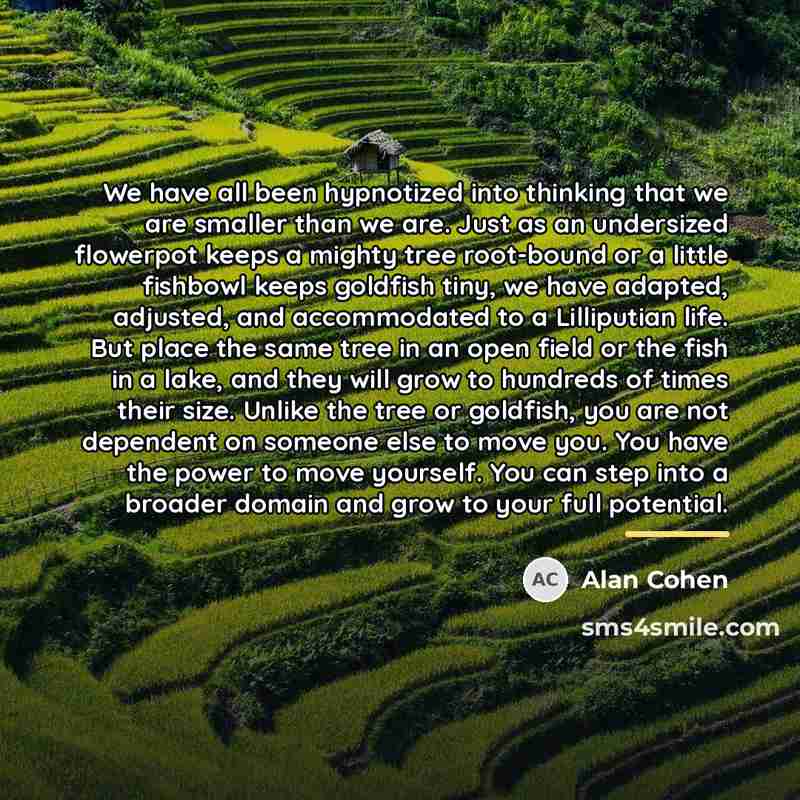 “We have all been hypnotized into thinking that we are…” quote by Alan Cohen