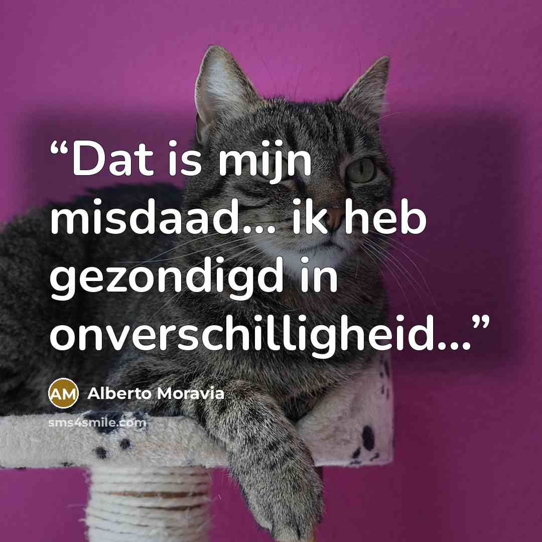 “Dat is mijn misdaad... ik heb gezondigd in onverschilligheid...” quote by Alberto Moravia