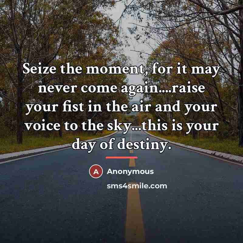 “Seize the moment, for it may never come again....raise your…” quote by Anonymous
