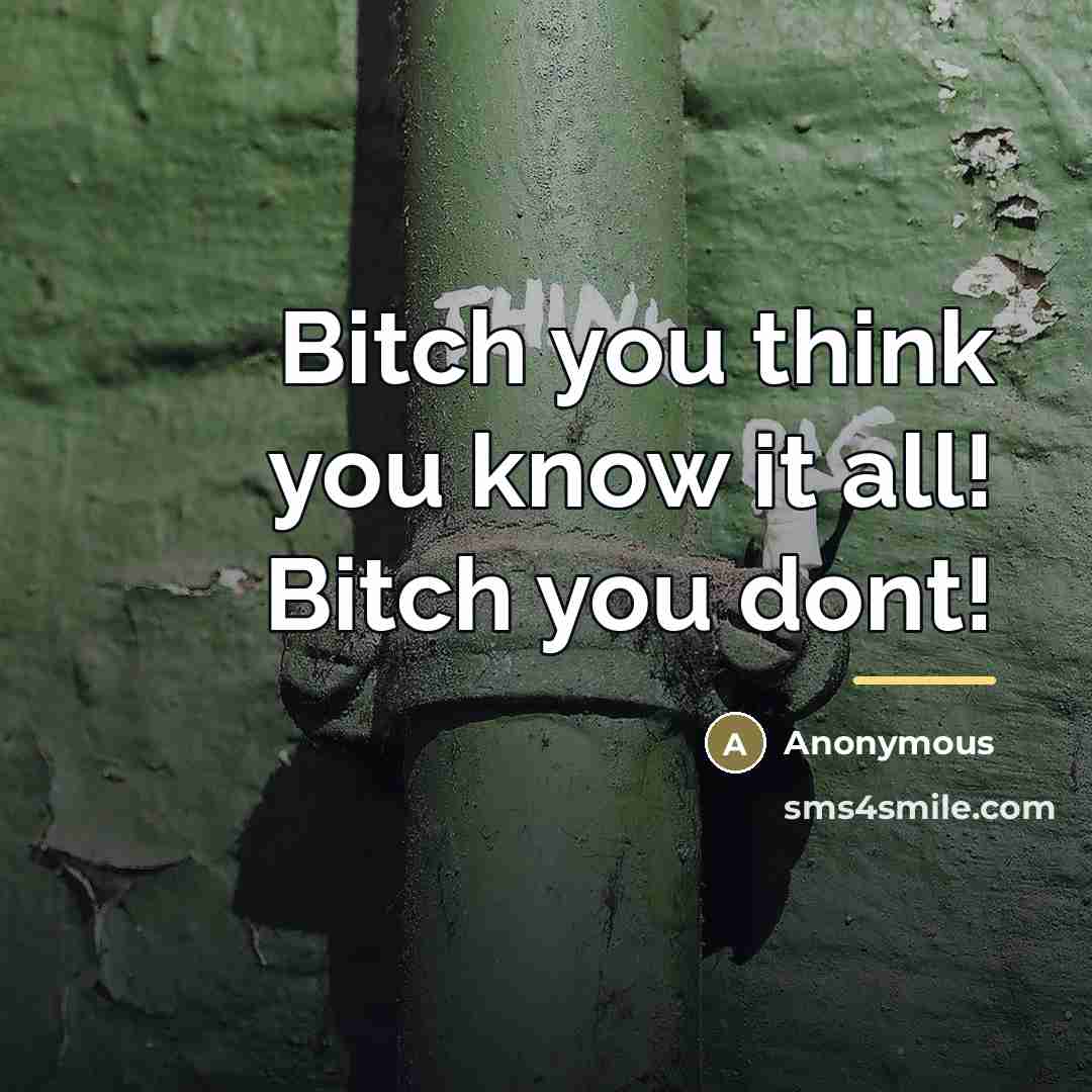 “Bitch you think you know it all! Bitch you dont!…” quote by Anonymous