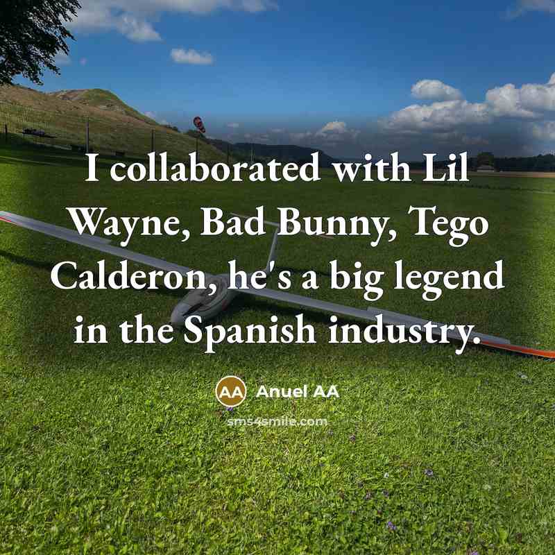 “I collaborated with Lil Wayne, Bad Bunny, Tego Calderon, he's…” quote by Anuel AA