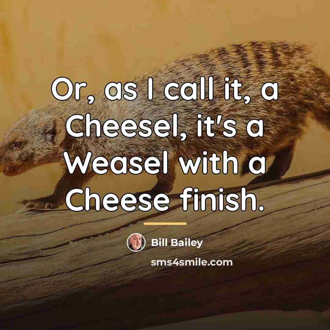 “Or, as I call it, a Cheesel, it's a Weasel…” quote by Bill Bailey