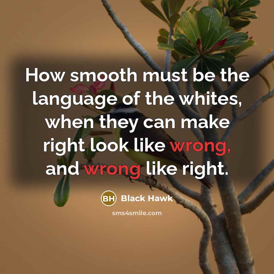 “How smooth must be the language of the whites, when…” quote by Black Hawk
