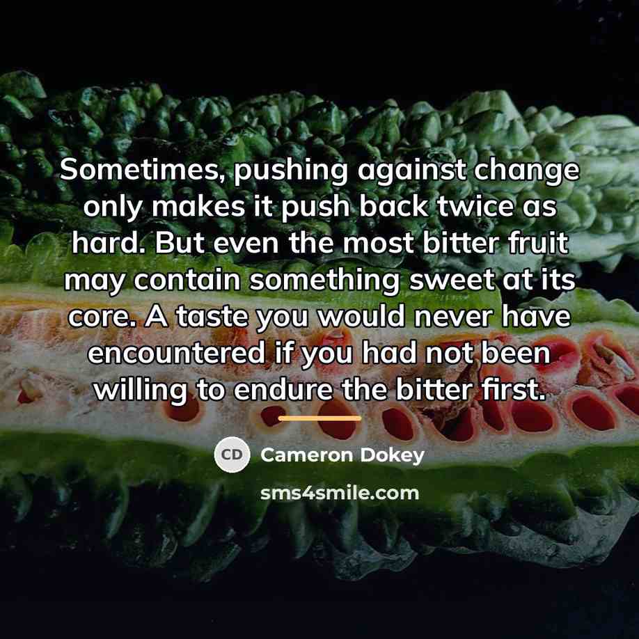 “Sometimes, pushing against change only makes it push back twice…” quote by Cameron Dokey