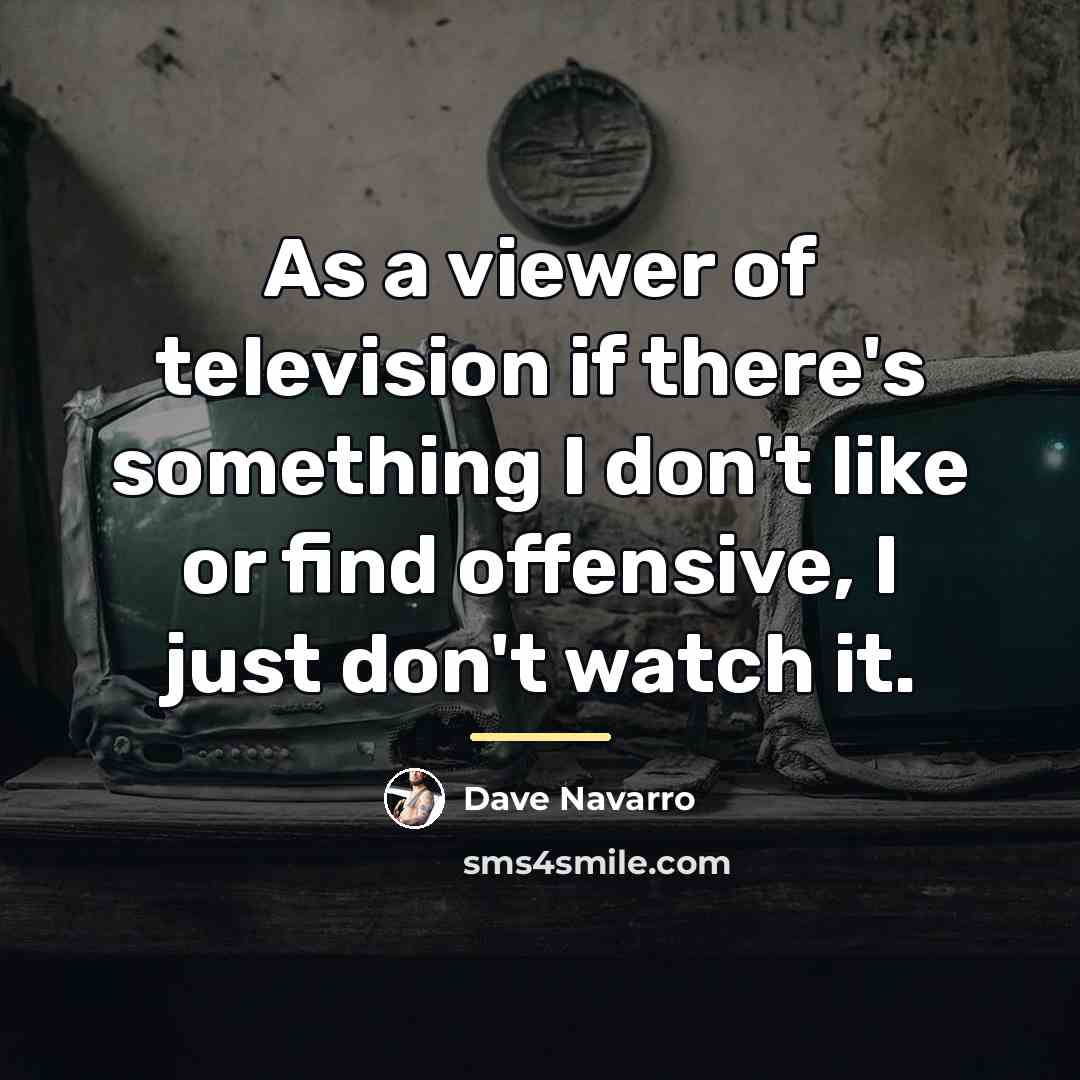 “As a viewer of television if there's something I don't…” quote by Dave Navarro