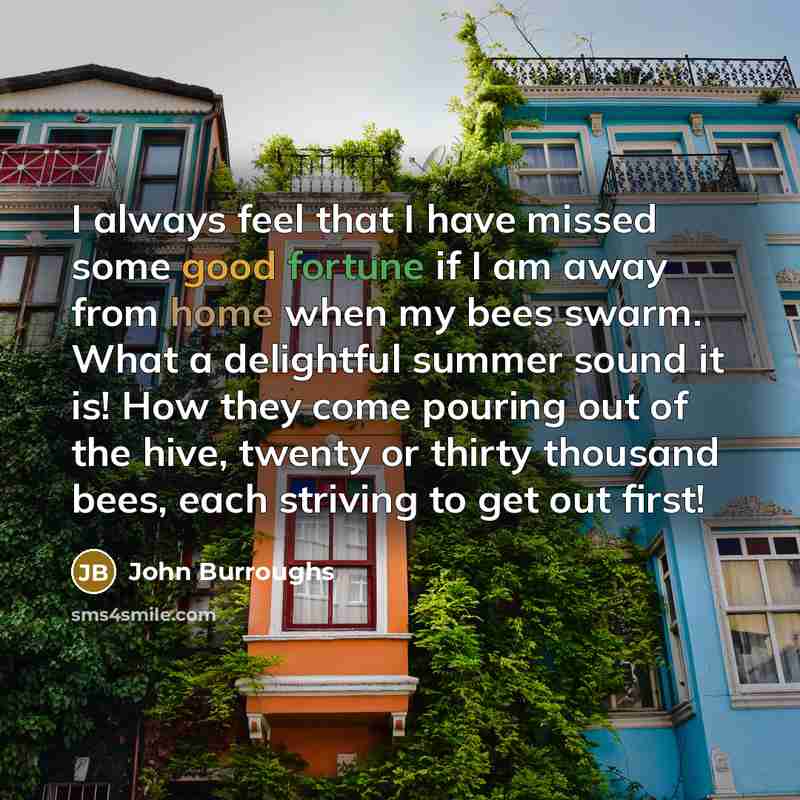“I always feel that I have missed some good fortune…” quote by John Burroughs