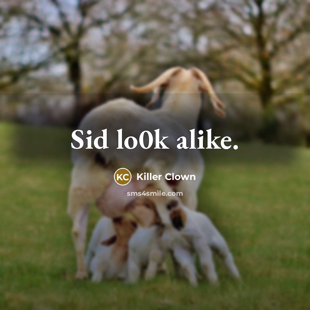 “Sid lo0k alike.” quote by Killer Clown