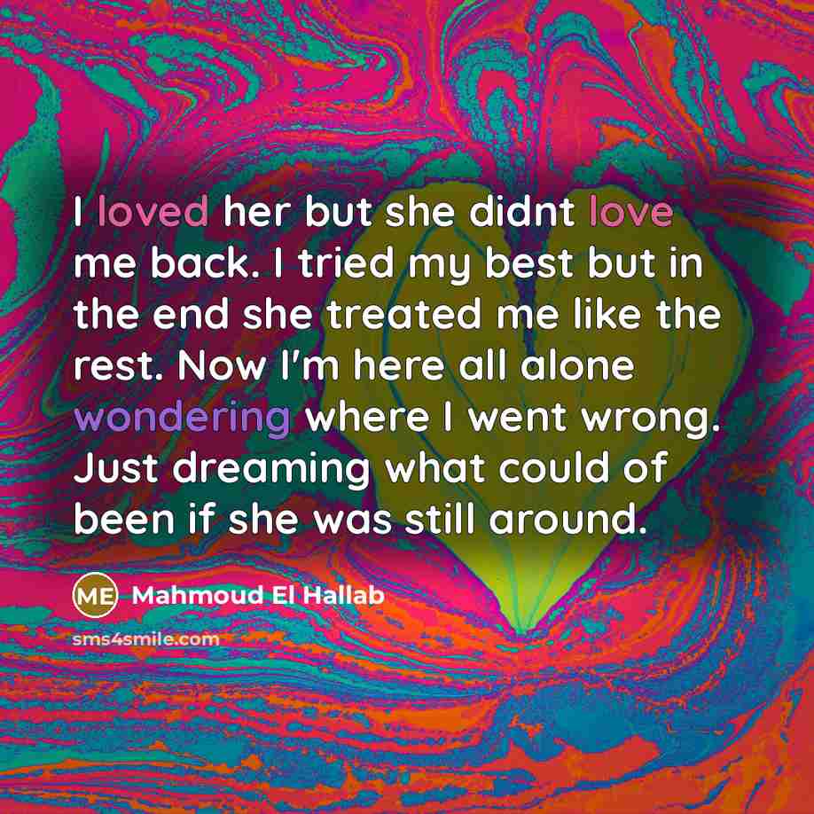 “I loved her but she didnt love me back. I…” quote by Mahmoud El Hallab