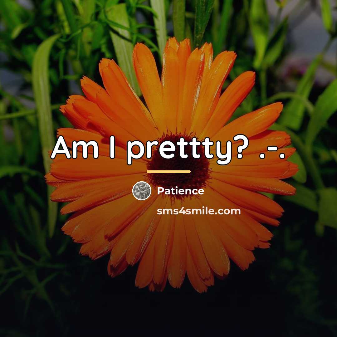 “Am I prettty? .-.…” quote by Patience