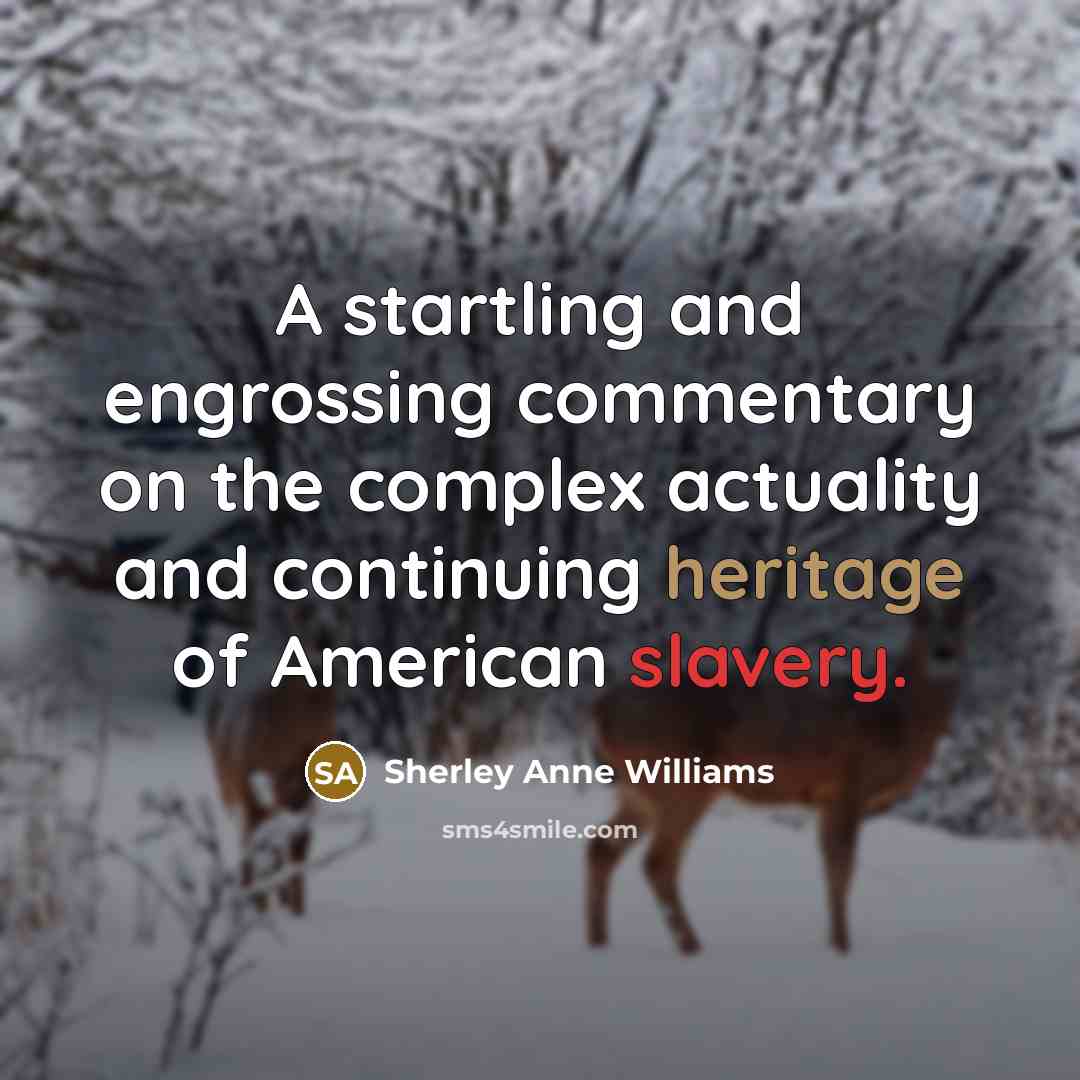 “A startling and engrossing commentary on the complex actuality and…” quote by Sherley Anne Williams