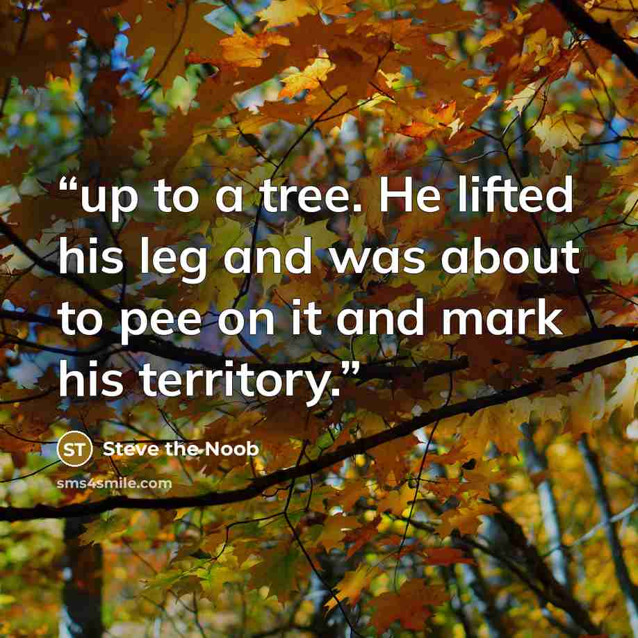 “up to a tree. He lifted his leg and was about to pee on it and mark his territory.” quote by Steve the Noob