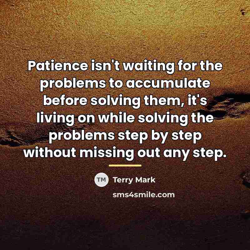 “Patience isn't waiting for the problems to accumulate before solving…” quote by Terry Mark
