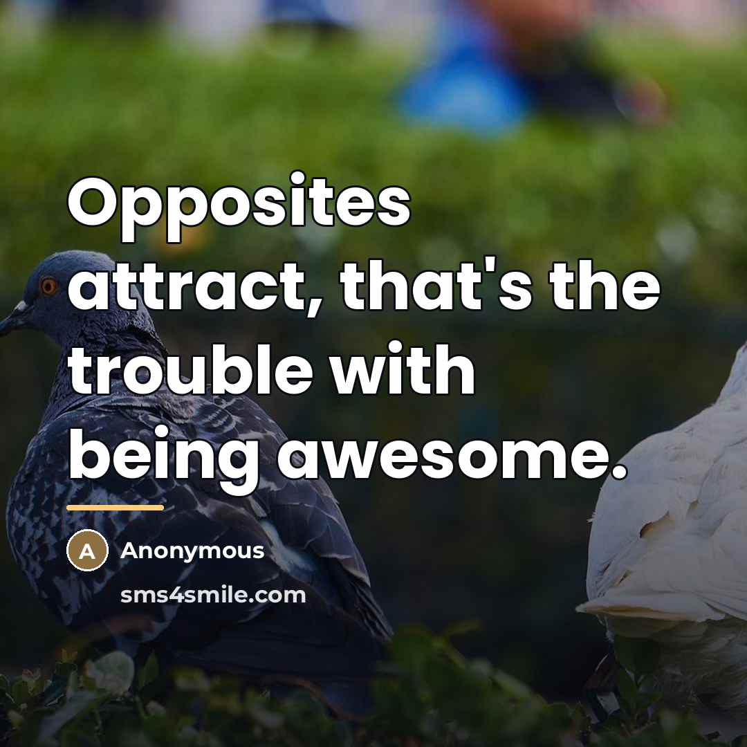 “Opposites attract, that's the trouble with being awesome.…” quote by Anonymous