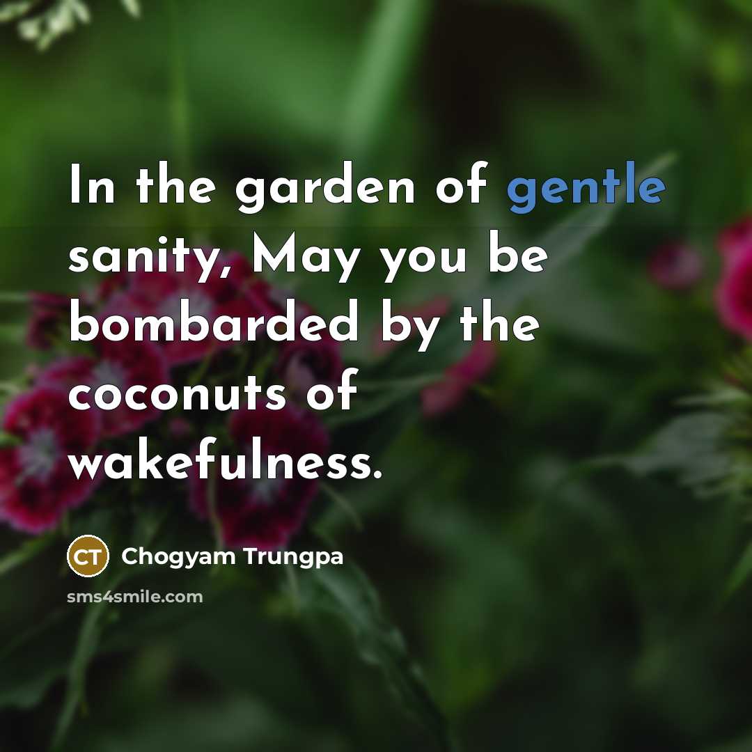 “In the garden of gentle sanity, May you be bombarded…” quote by Chogyam Trungpa