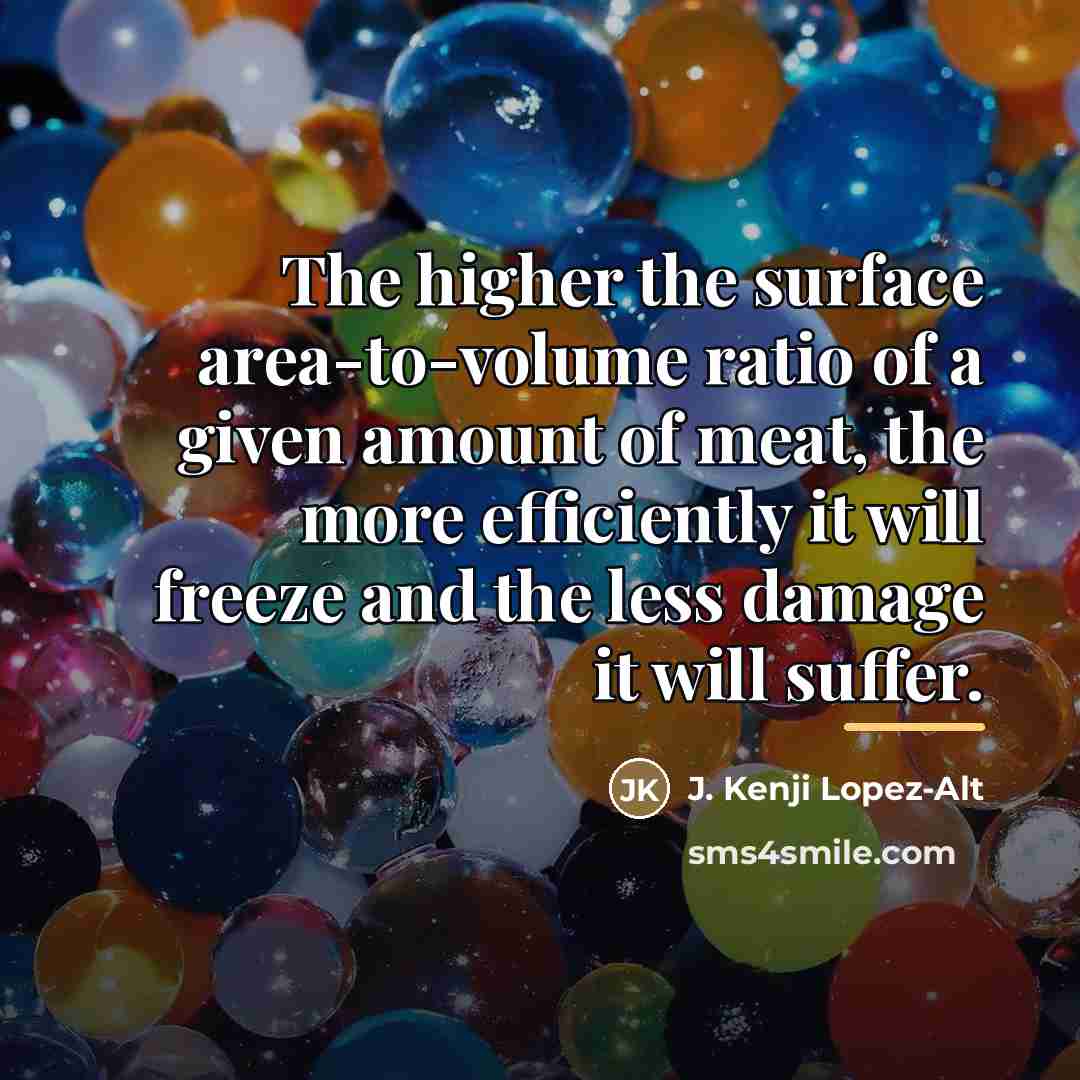 “The higher the surface area-to-volume ratio of a given amount…” quote by J. Kenji Lopez-Alt