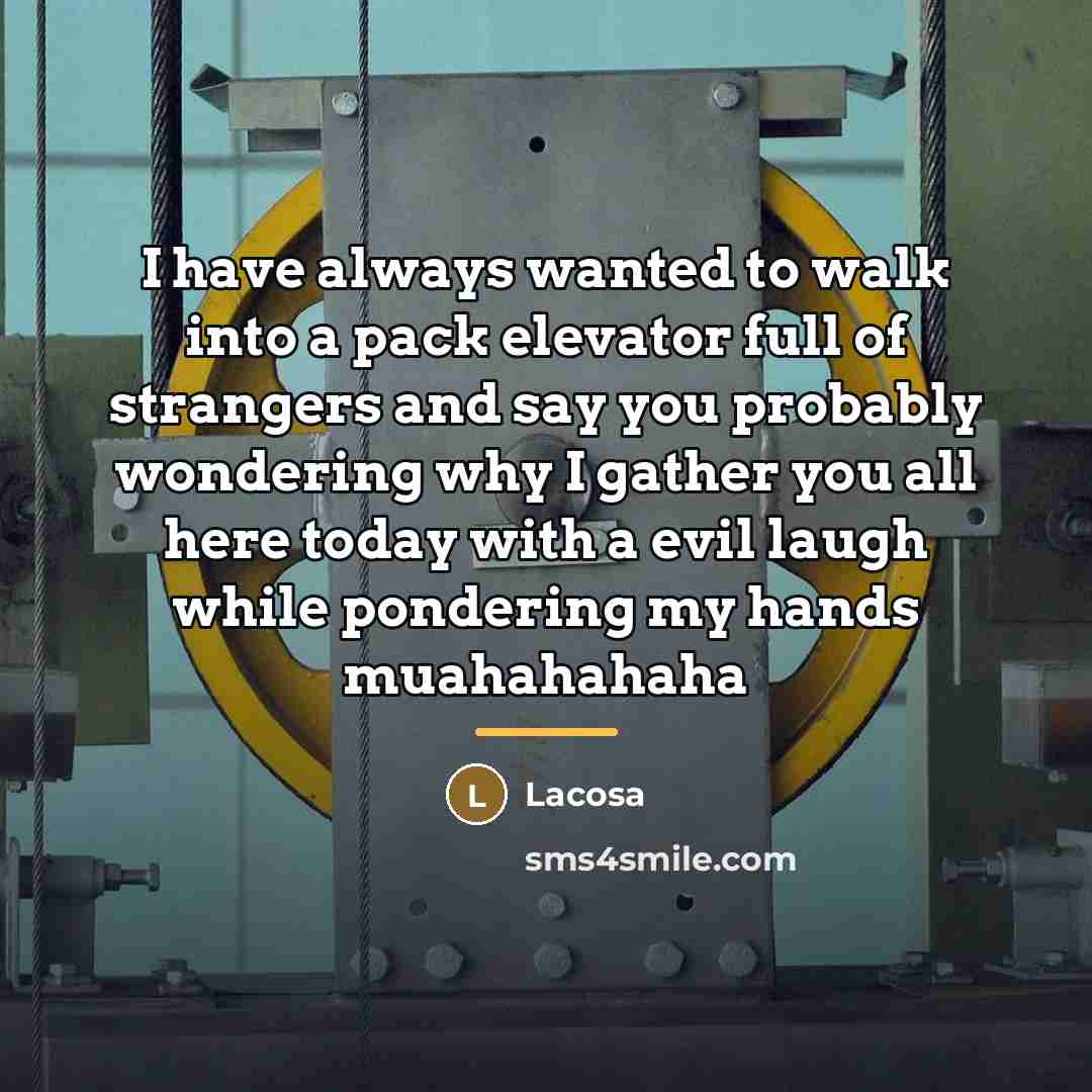 “I have always wanted to walk into a pack elevator…” quote by Lacosa