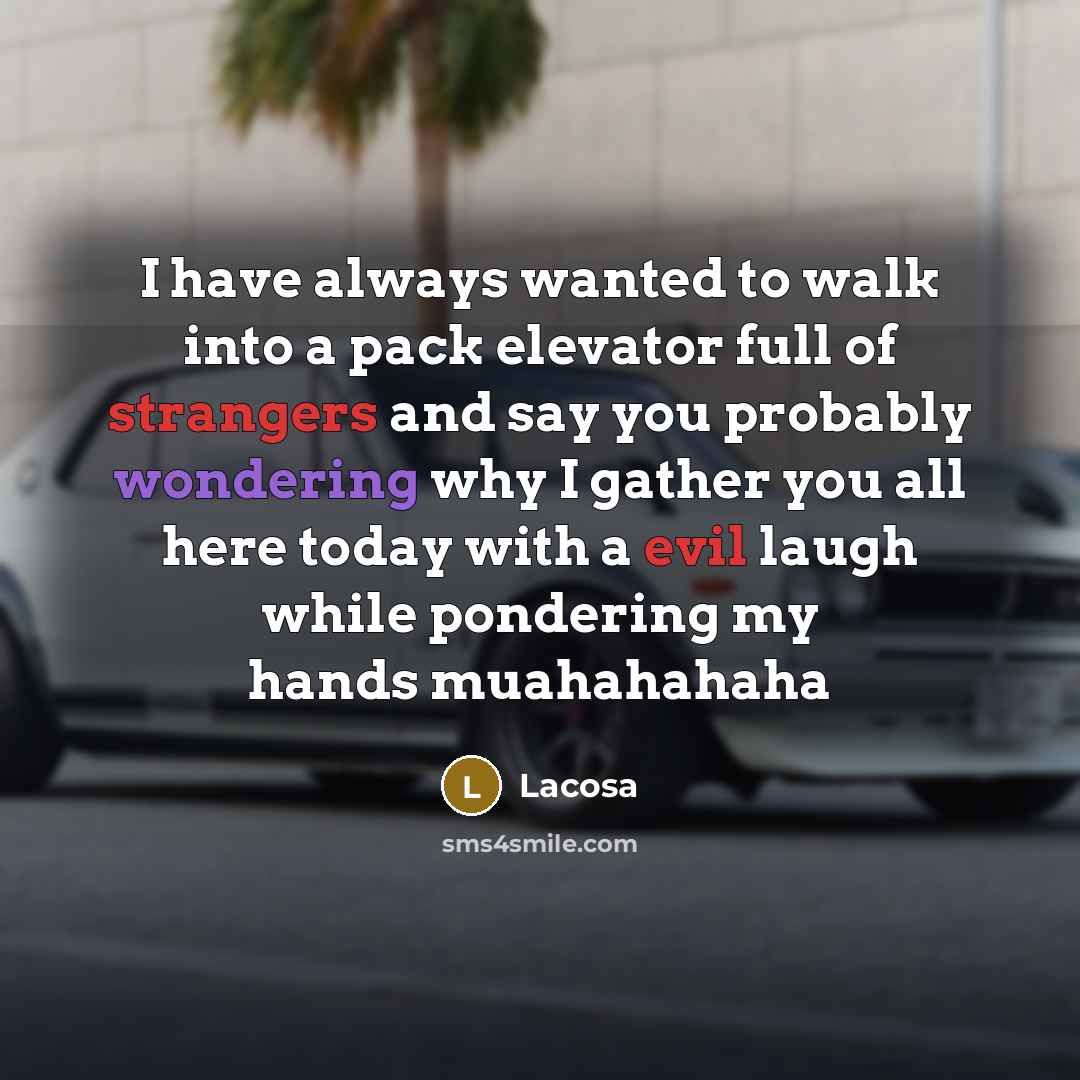 “I have always wanted to walk into a pack elevator full of strangers and say you probably wondering why I gather you all here today with a evil laugh while pondering my hands muahahahaha” quote by Lacosa