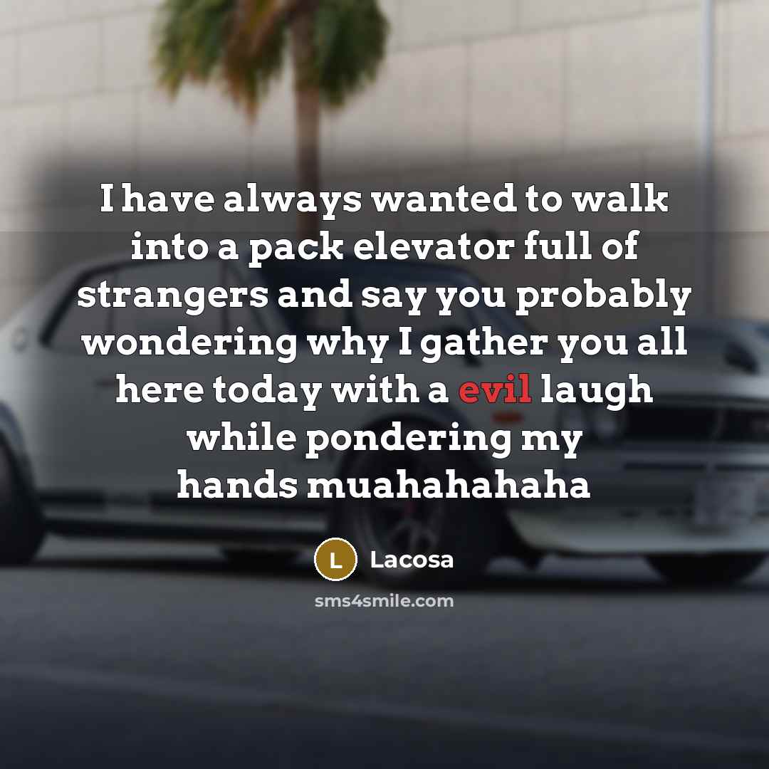 “I have always wanted to walk into a pack elevator full of strangers and say you probably wondering why I gather you all here today with a evil laugh while pondering my hands muahahahaha” quote by Lacosa