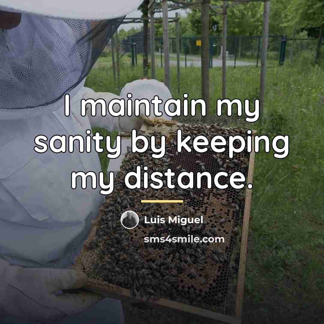 “I maintain my sanity by keeping my distance.…” quote by Luis Miguel