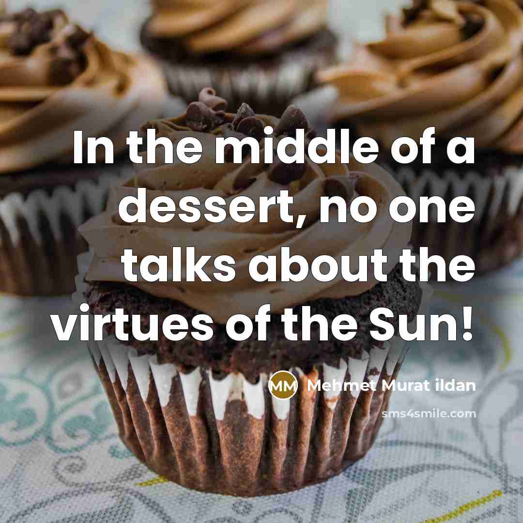 “In the middle of a dessert, no one talks about…” quote by Mehmet Murat Ildan