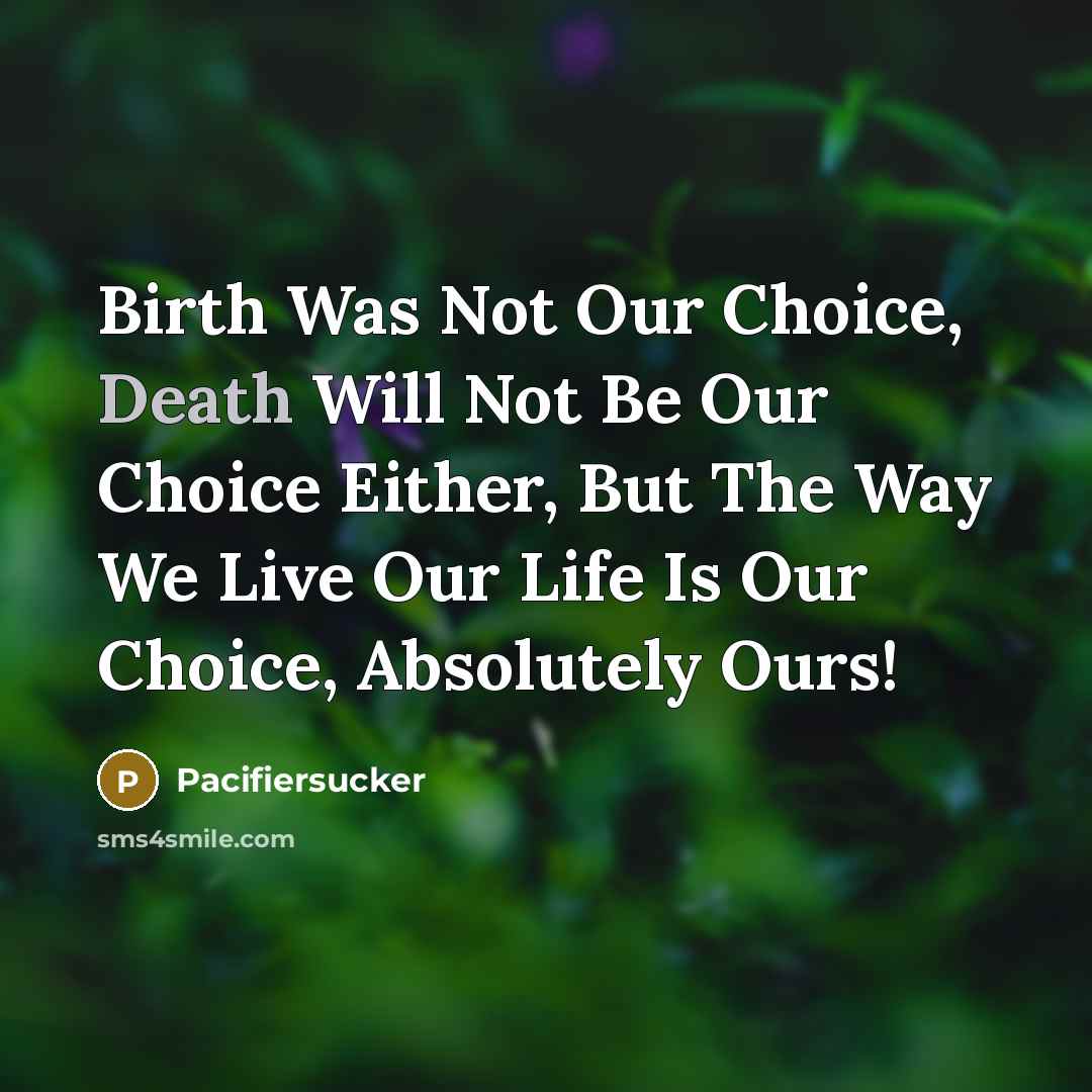 “Birth Was Not Our Choice, Death Will Not Be Our…” quote by Pacifiersucker