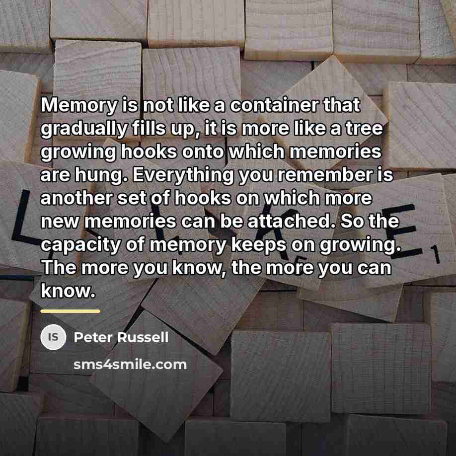 “Memory is not like a container that gradually fills up,…” quote by Peter Russell