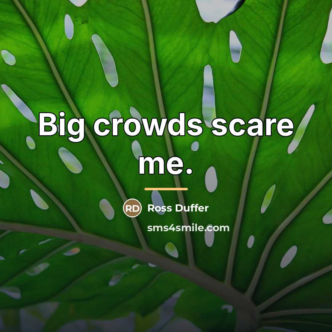 “Big crowds scare me.…” quote by Ross Duffer