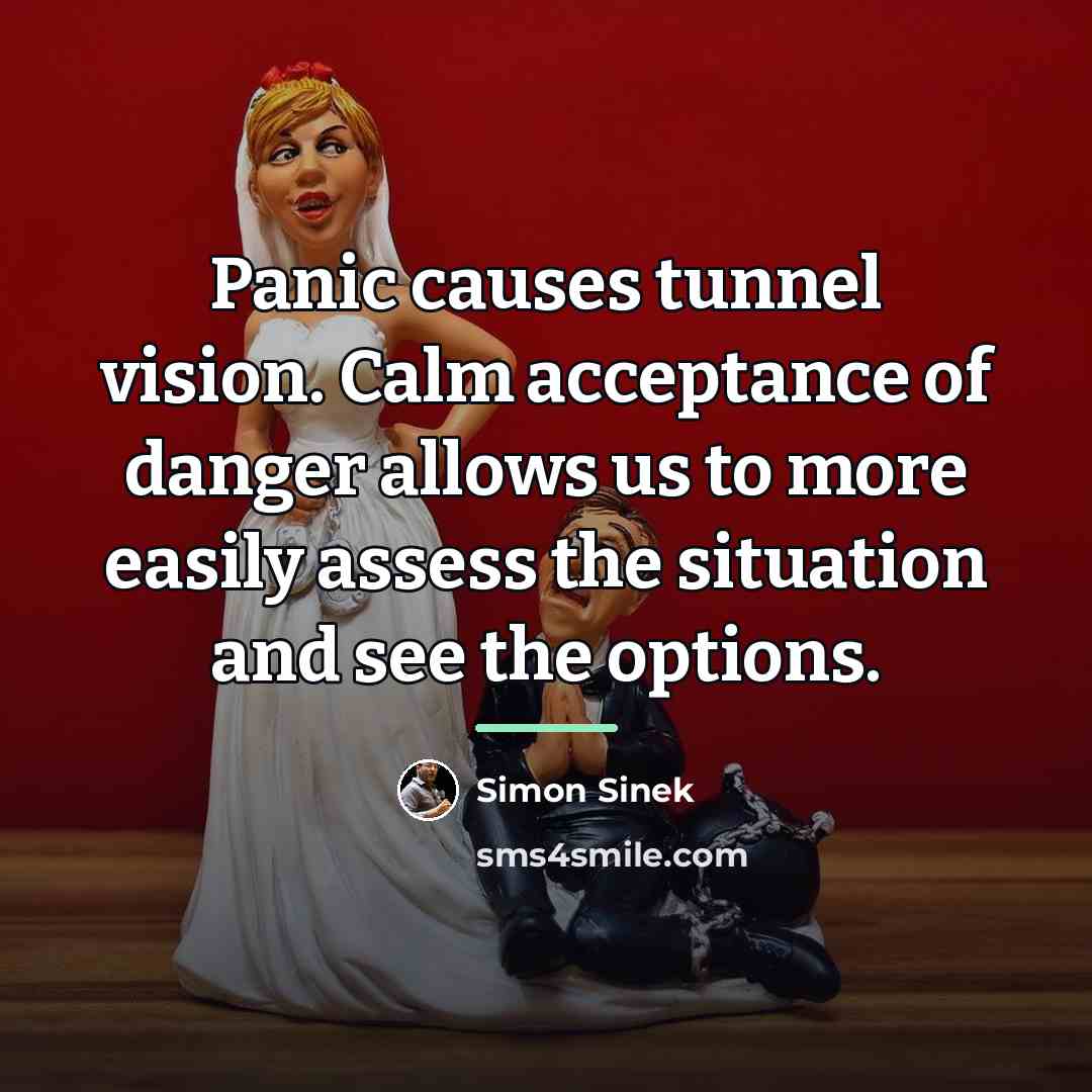 “Panic causes tunnel vision. Calm acceptance of danger allows us…” quote by Simon Sinek