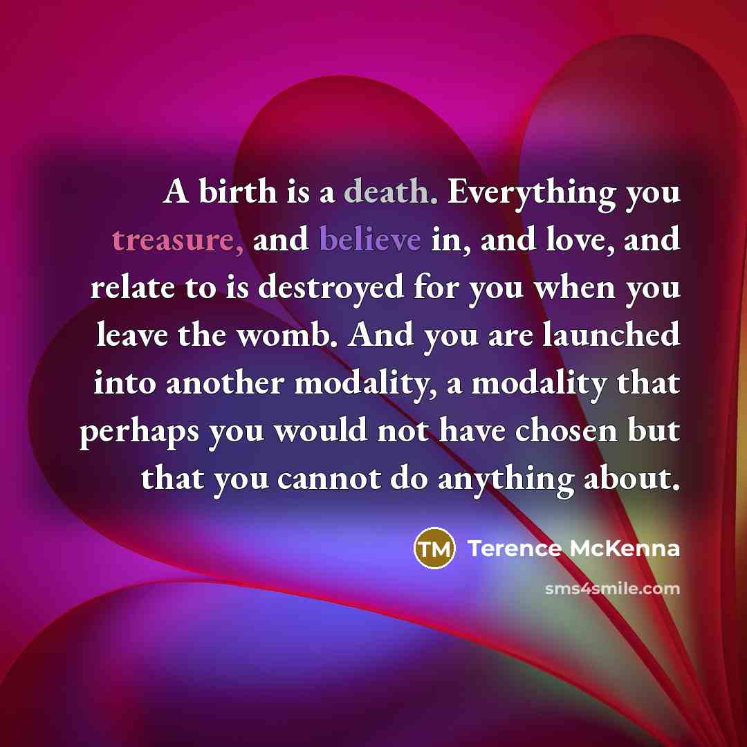 “A birth is a death. Everything you treasure, and believe…” quote by Terence McKenna