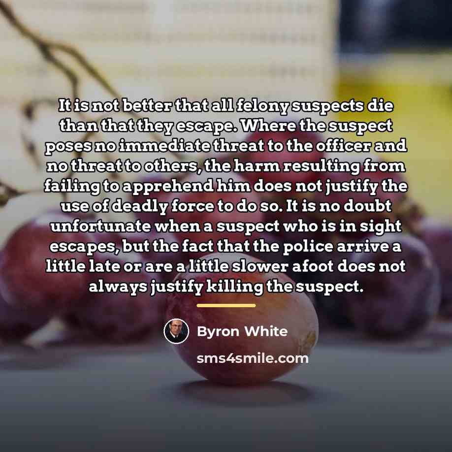 “It is not better that all felony suspects die than…” quote by Byron White