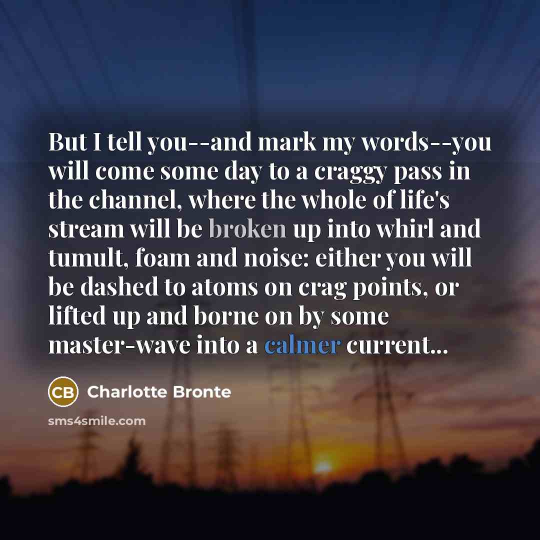 “But I tell you--and mark my words--you will come some…” quote by Charlotte Bronte