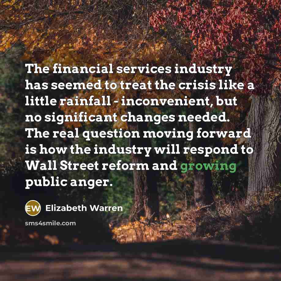 “The financial services industry has seemed to treat the crisis…” quote by Elizabeth Warren