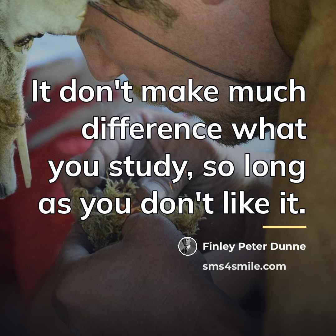 “It don't make much difference what you study, so long…” quote by Finley Peter Dunne