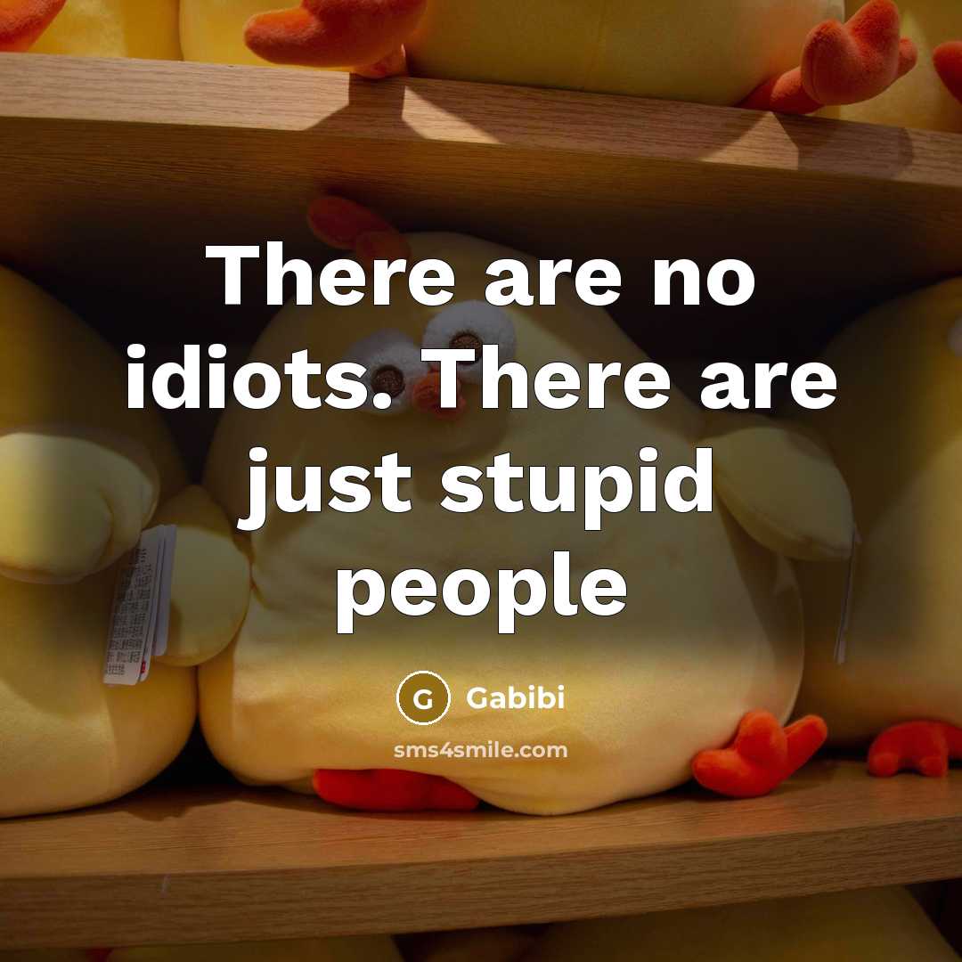 “There are no idiots. There are just stupid people…” quote by Gabibi