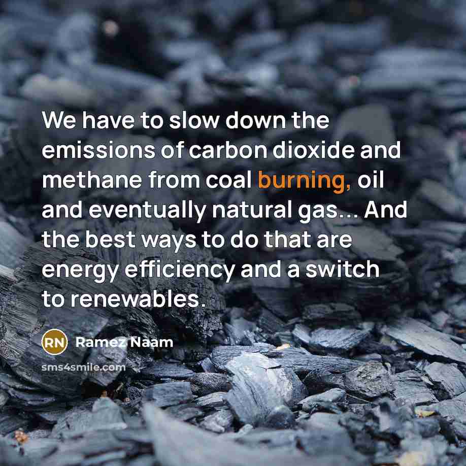 “We have to slow down the emissions of carbon dioxide…” quote by Ramez Naam