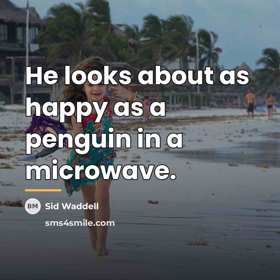 “He looks about as happy as a penguin in a…” quote by Sid Waddell