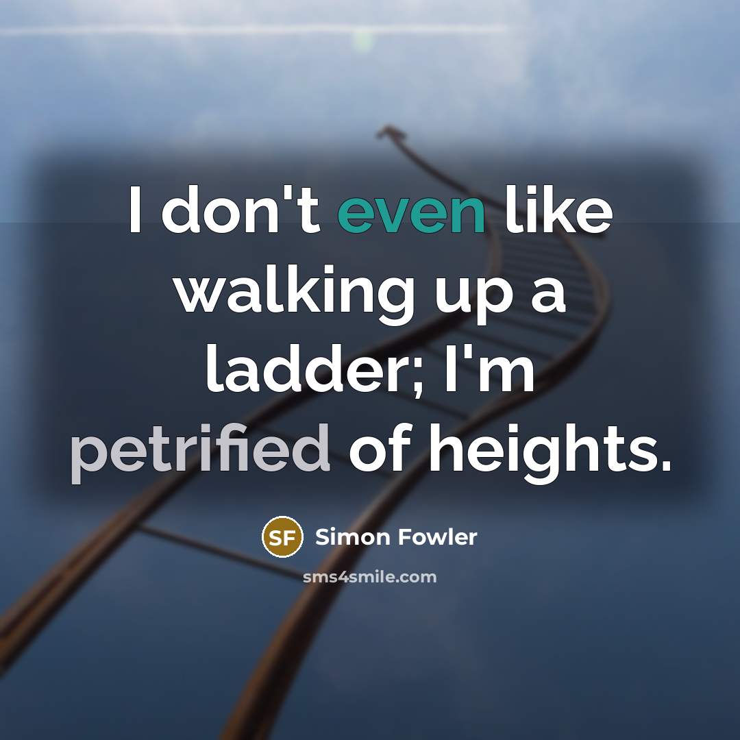 “I don't even like walking up a ladder; I'm petrified…” quote by Simon Fowler