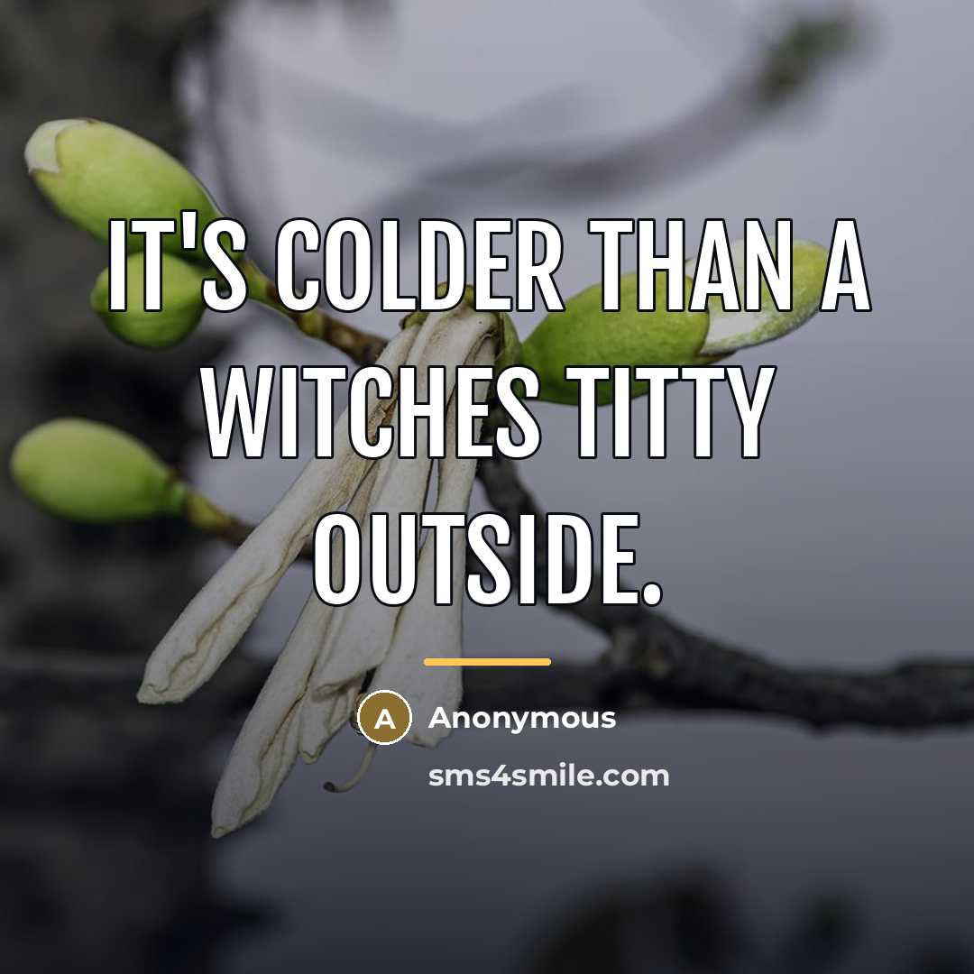 “It's colder than a witches titty outside.…” quote by Anonymous