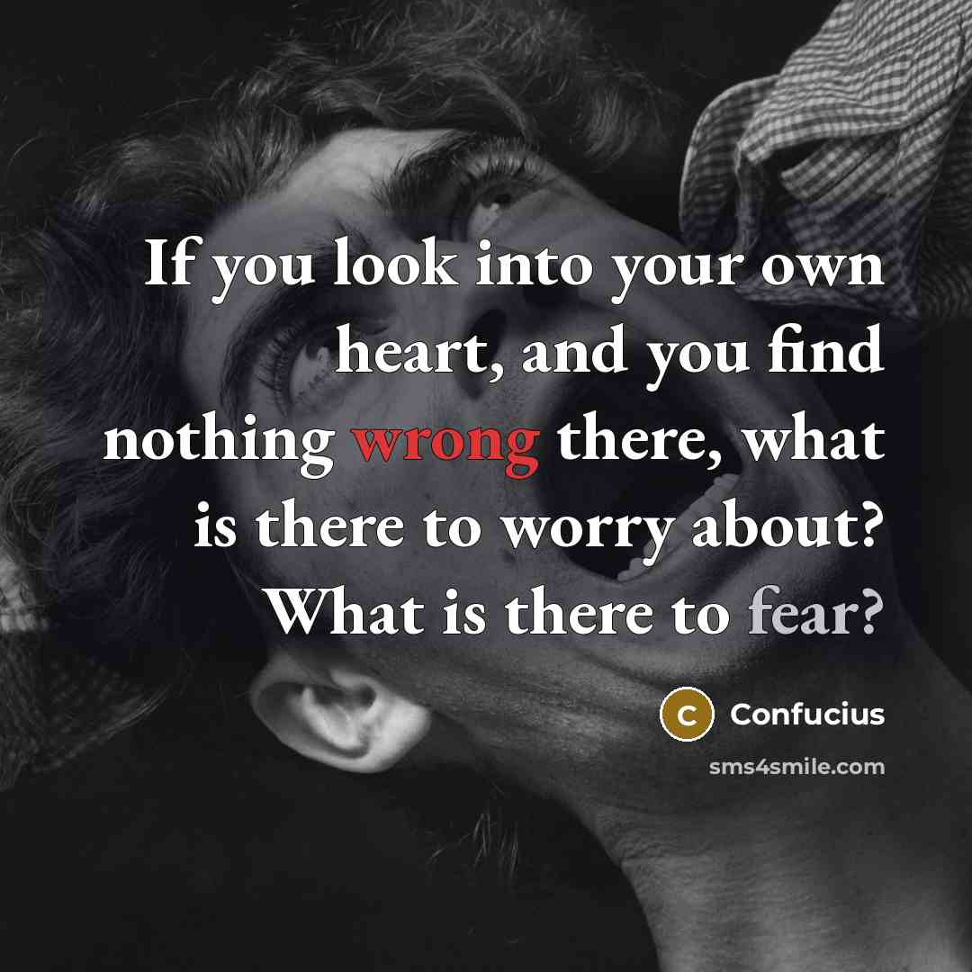 “If you look into your own heart, and you find…” quote by Confucius