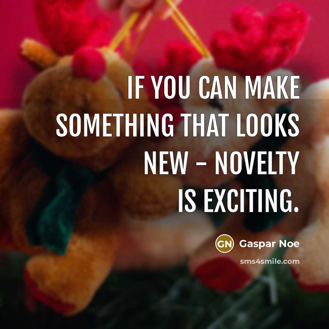 “If you can make something that looks new - novelty…” quote by Gaspar Noe