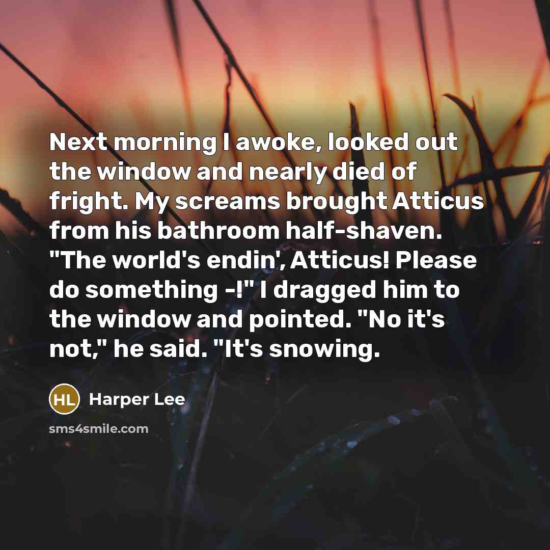 “Next morning I awoke, looked out the window and nearly…” quote by Harper Lee