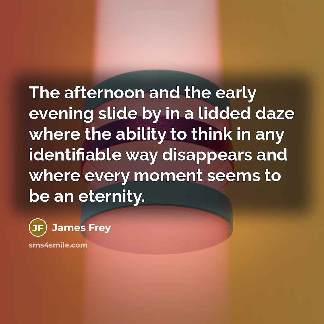 “The afternoon and the early evening slide by in a…” quote by James Frey